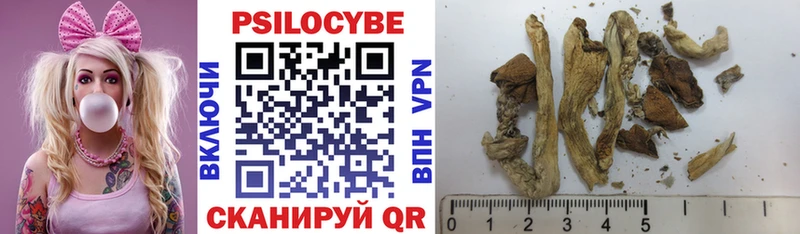дарк нет официальный сайт  Егорьевск  Псилоцибиновые грибы GOLDEN TEACHER 