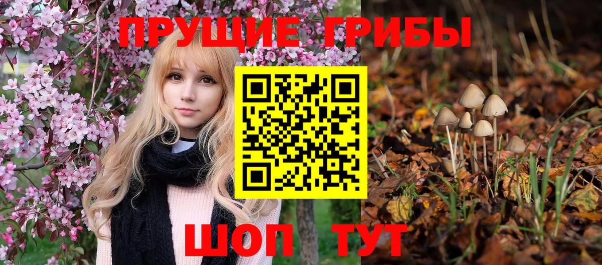 Псилоцибиновые грибы мухоморы Егорьевск